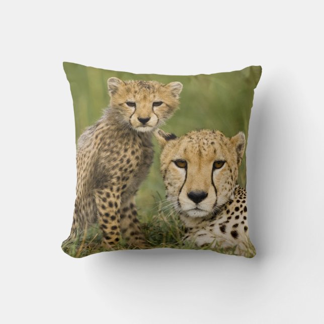 Almofada Guepardo, Acinonyx jubatus, com filhote (Frente)