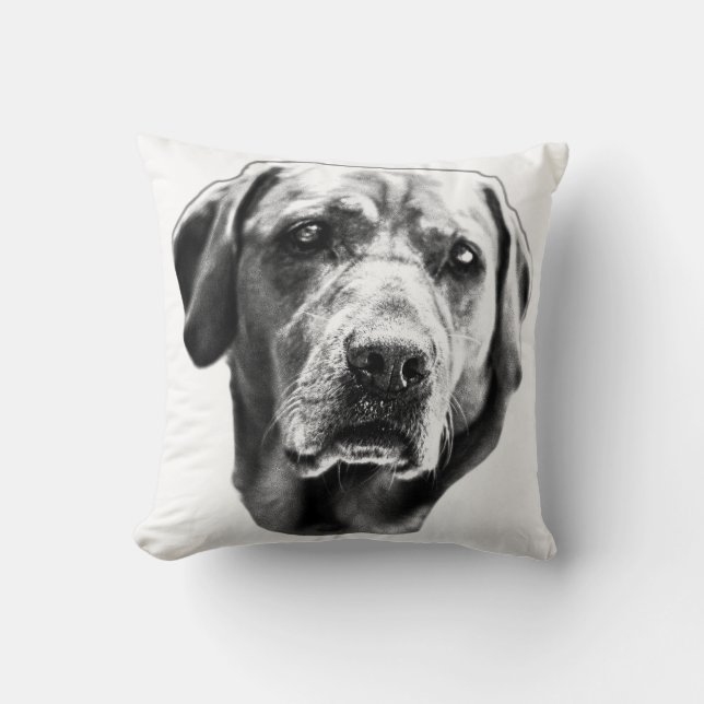 Almofada Harvest Hearth Gaze (Frente)