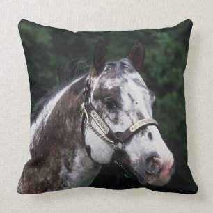 Almofada Headshot 2 do cavalo do Appaloosa