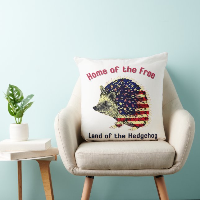Almofada Hedgehog Flag América (Cadeira)