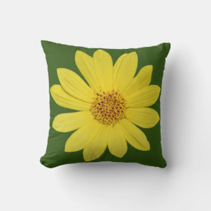 Almofada Helianthus "Lemon Queen" Girassol (isolado)