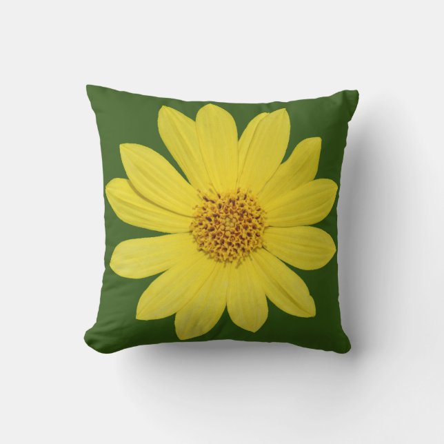 Almofada Helianthus "Lemon Queen" Girassol (isolado) (Frente)