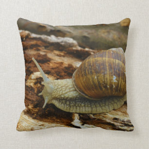 Almofada Hélice romana Pomatia do caracol comestível de