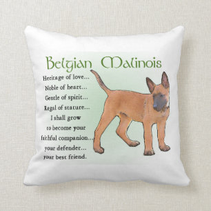 Almofada Herança de Malinois do belga do amor