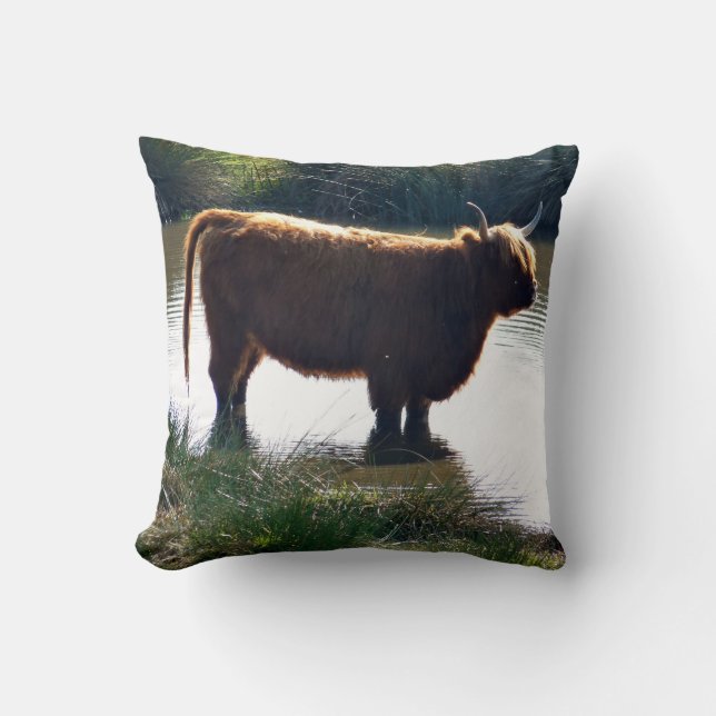 Almofada Highland Cattle (Frente)