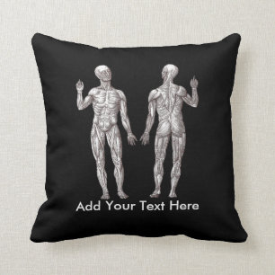 Almofada Homens do músculo - anatomia do sistema muscular
