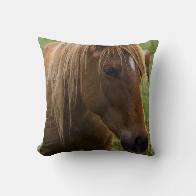 Almofada Horse Hello (Frente)