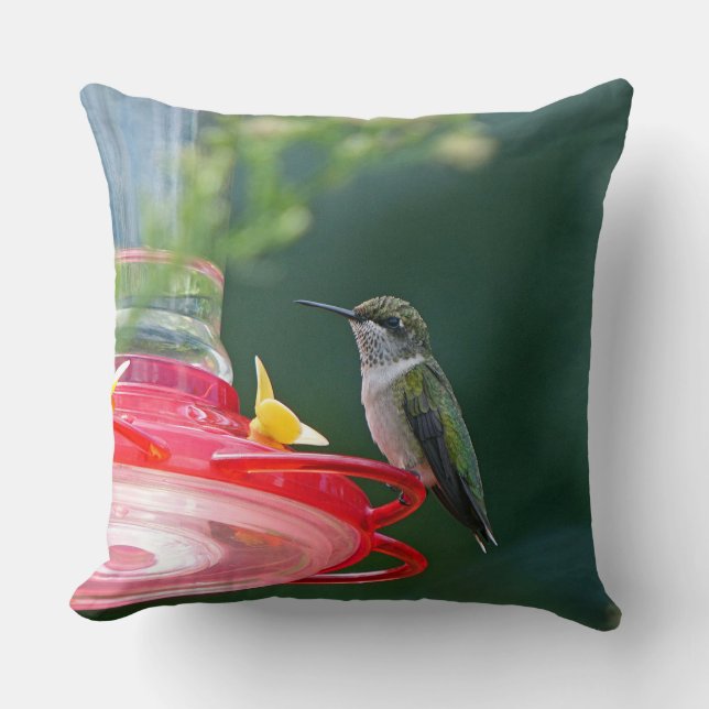 Almofada Hummingbird (Frente)