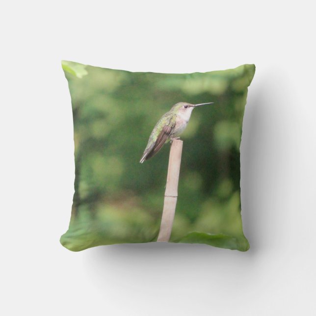 Almofada Hummingbird Inscrito Design (Frente)