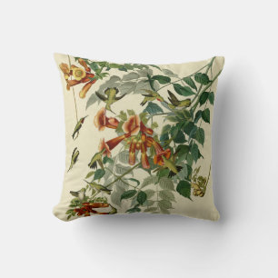 Almofada Hummingbird Ruby Throbon Audubon