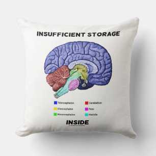 Almofada Humor de Anatomia do Cérebro Dentro de Armazenamen
