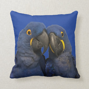 Almofada Hyacinth Macaw Pássaro Rare Azul