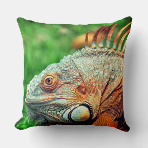 Almofada Iguana