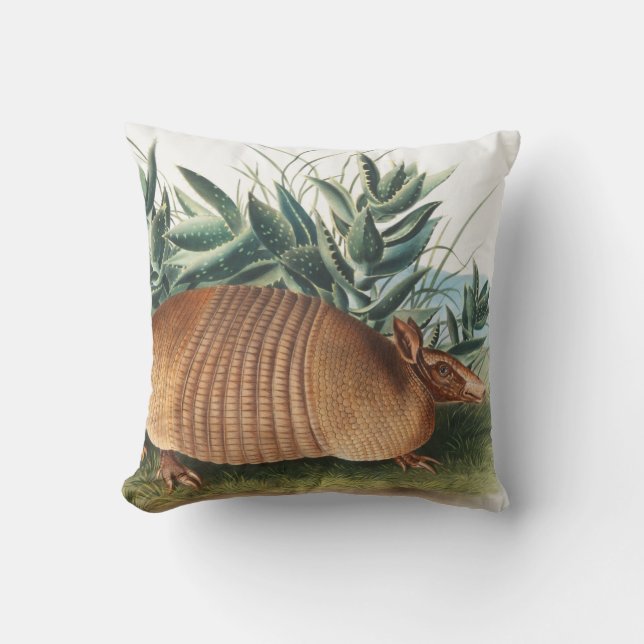 Almofada Ilustração de Armadillo (Dasypus Peba) com nove fa (Frente)