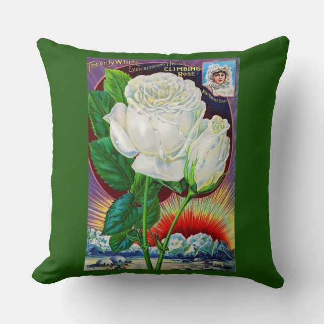 Almofada ilustração de catálogo de rosas da década de 1890  (Frente)