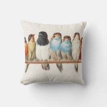 Ilustração de "Perch of Birds Vintage Finch", 1880