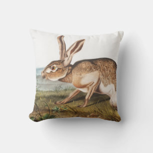 Almofada Ilustração do Coelho da Lepus Texianus