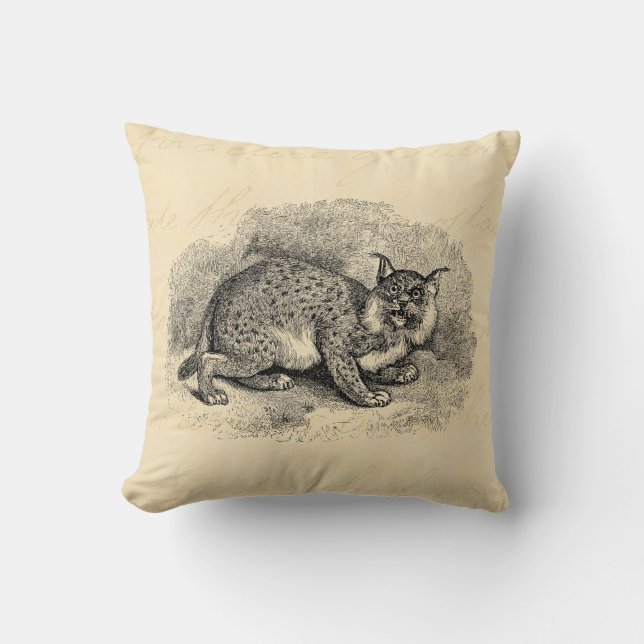 Almofada Ilustração do lince do gato de Bob dos 1800s do (Frente)