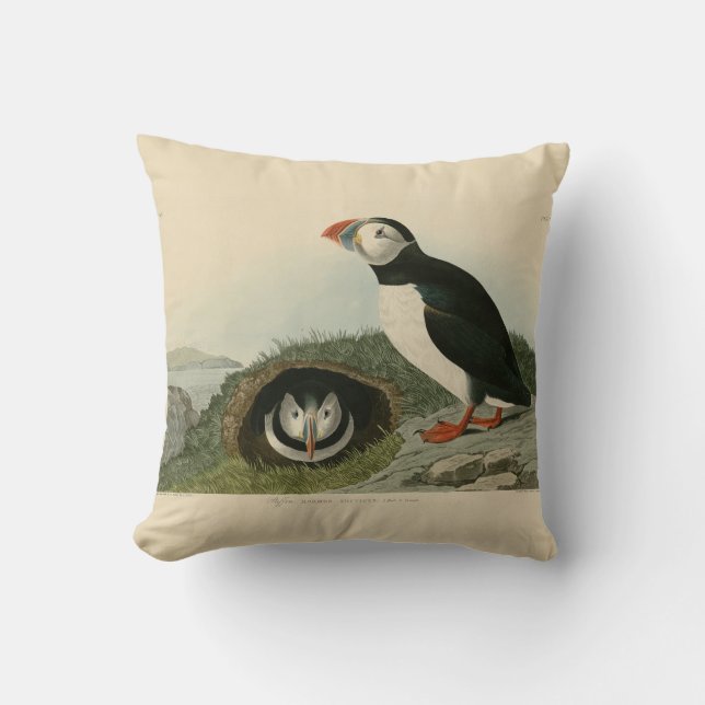 Almofada Ilustração Vintage Puffin (Frente)