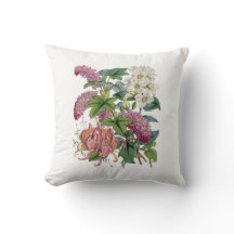 Ilustrações de Botânica Vintage