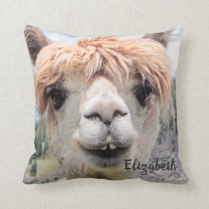 Almofada Imagem de sorriso bonito da foto da alpaca