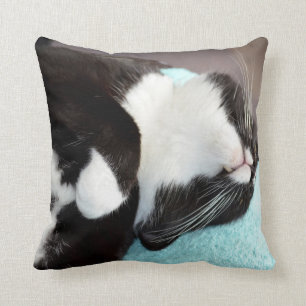 Almofada imagem do gatinho da opinião do queixo do gato do