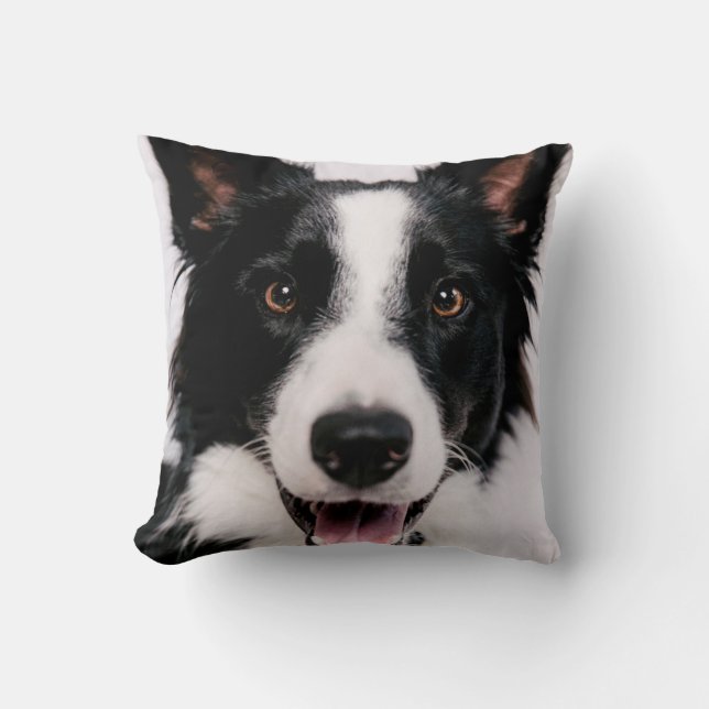 Almofada Imagens de Getty | A border collie de sorriso (Frente)