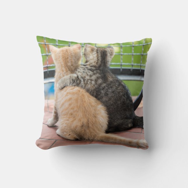 Almofada Imagens de Getty | dois gatinhos em um balcão (Frente)