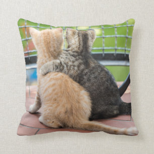 Almofada Imagens de Getty dois gatinhos em um balcão