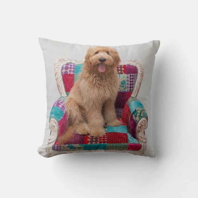 Almofada Imagens de Getty | Goldendoodle bonito (Frente)