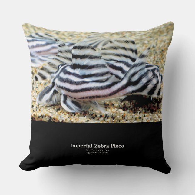 Almofada Imperial Zebra Pleco (Frente)