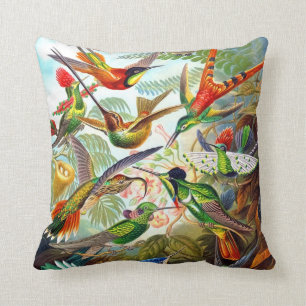 Almofada Impressão 1904 do colibri de Ernst Haeckel no