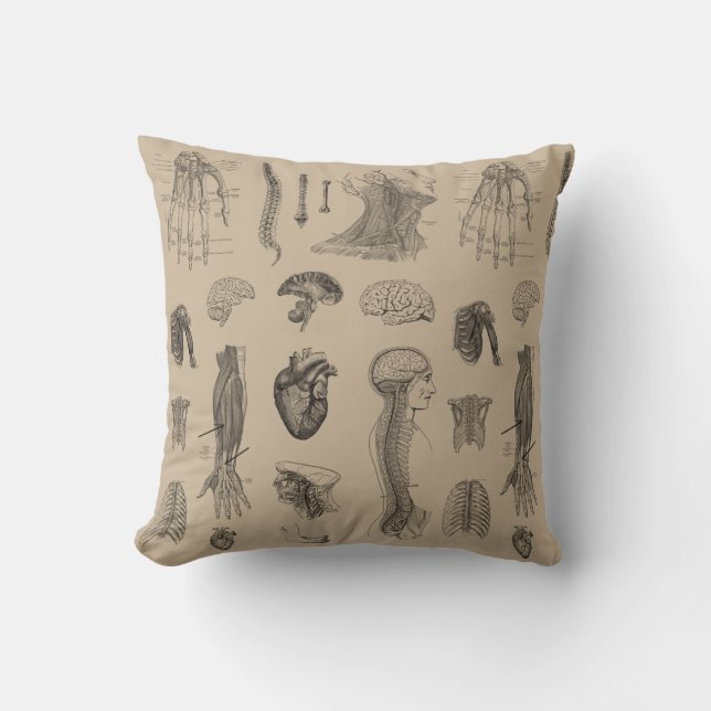 Almofada Impressão da anatomia do vintage (Frente)