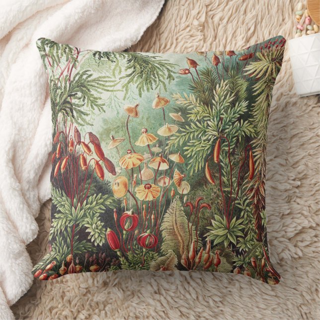 Almofada Impressão da Natureza de Musgo de Ernst Haeckel Ac (Cobertor)