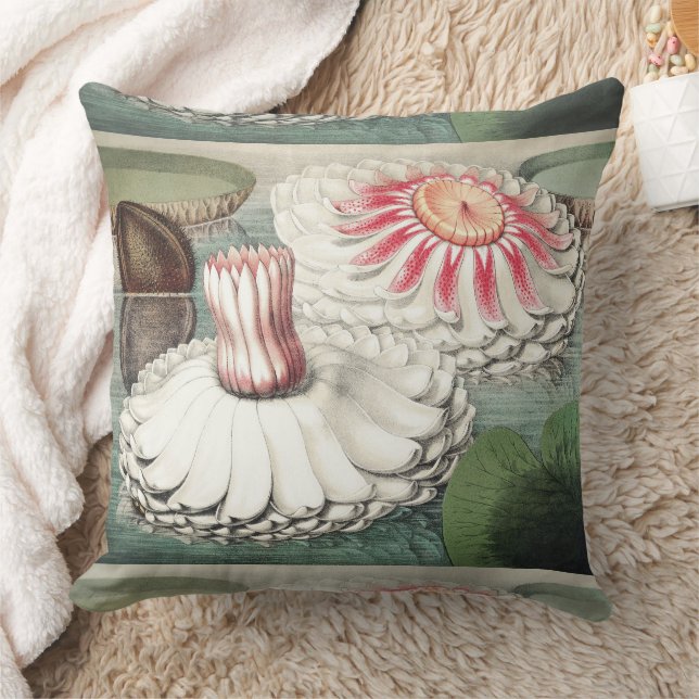 Almofada Impressão de Arte da Vitória-régia Antiga (Cobertor)