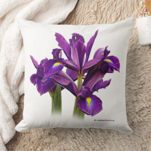Almofada Incrível Sensação Floral Neerlandesa Iris Purple
