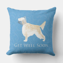 Inglês Setter Sente-se Bem Em Breve