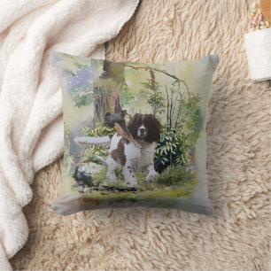 Almofada Inglês Springer Spaniel