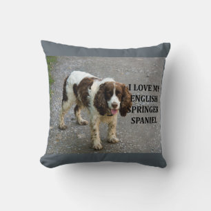 Almofada inglês springer spaniel lw love w picch