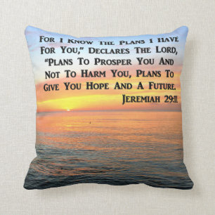 ALMOFADA INSPIRANDO JEREMIAH 29:11 SOL