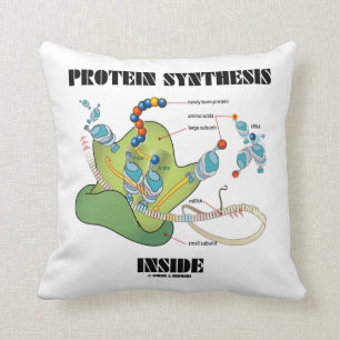 Almofada Interior da síntese da proteína (tRNA do mRNA)