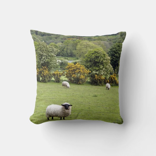Almofada Irlanda Ocidental, Península de Dingle (Frente)