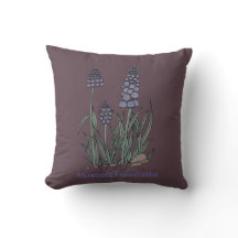 Jacintos Muscari Azuis