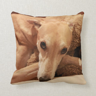 Almofada Jax em seu descanso