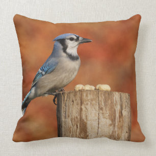 Almofada Jay azul