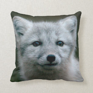 Almofada Jogo do Fox ártico das imagens de Getty