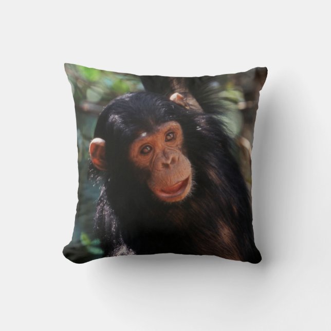 Almofada Jovem Chimpanzé (Frente)