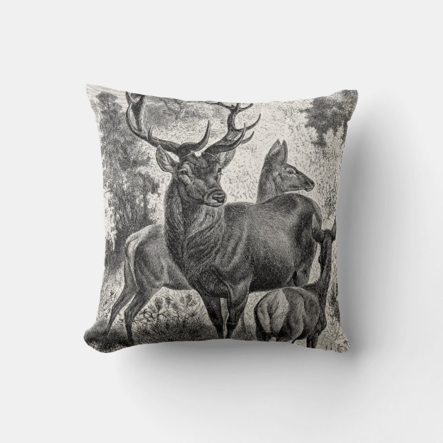 Almofada Jovem corça da gama do veado da ilustração do (Frente)