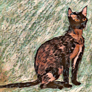 Almofada Karl The Cat 🐈