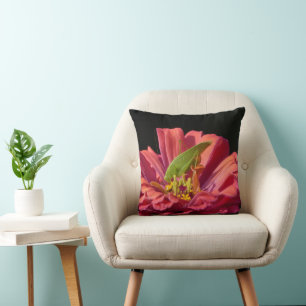 Almofada Katydid na Zinnia
